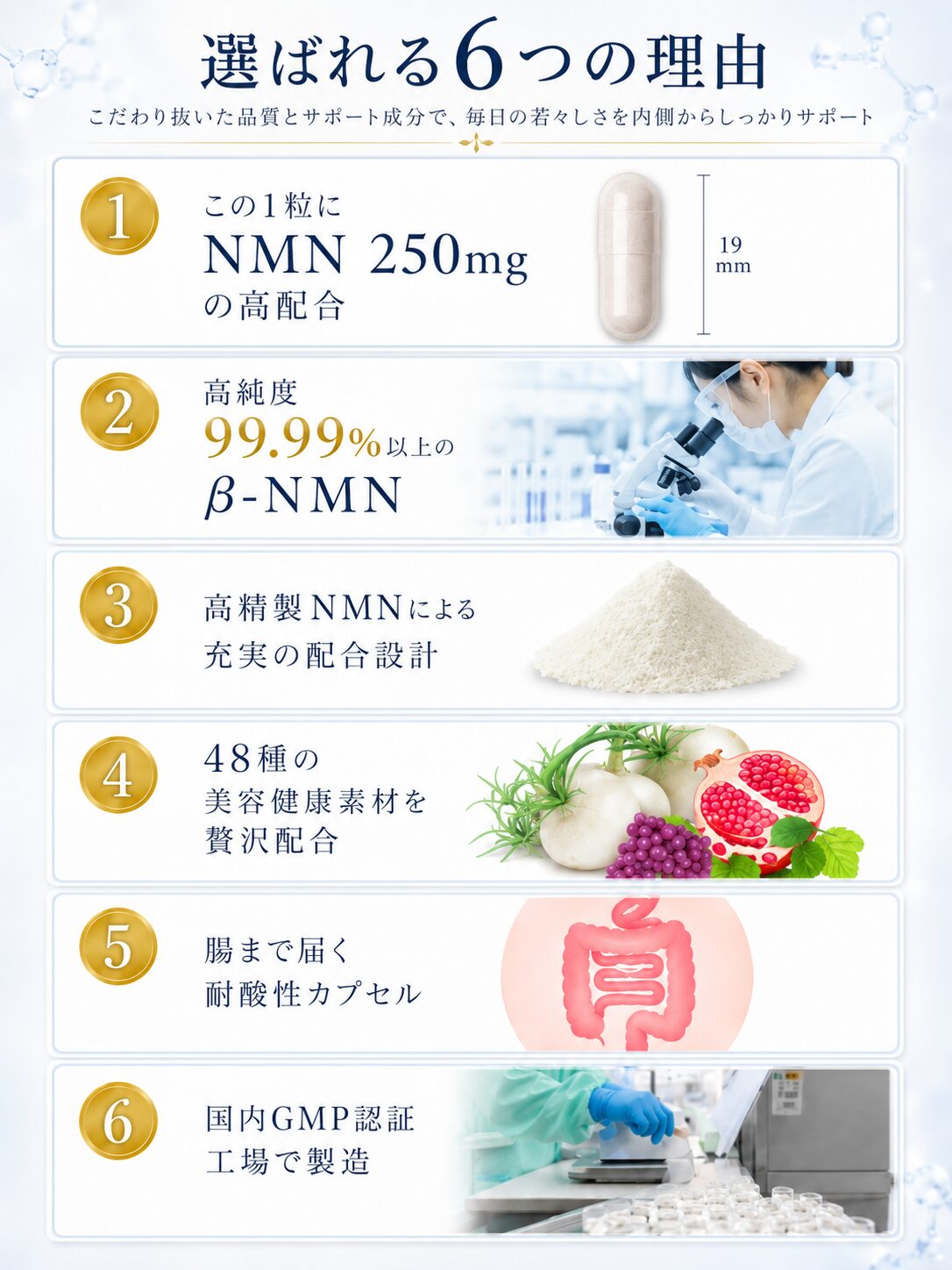選ばれる6つの理由の説明画像